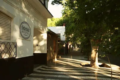 Hotel Antonieta Hostel