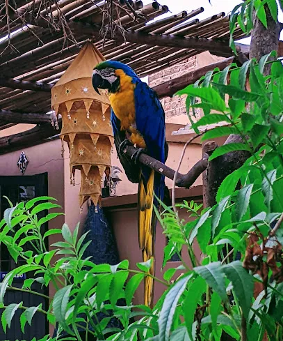 Hotel El Jardin de Agatina