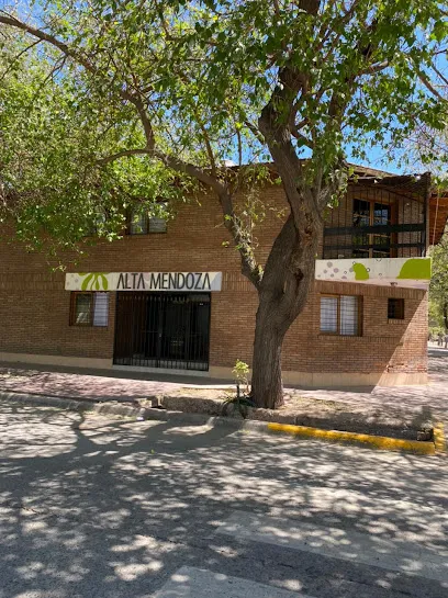 Hotel Hotel Alta Mendoza