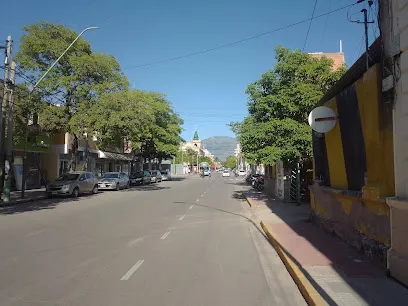 Hotel Hotel Avenida